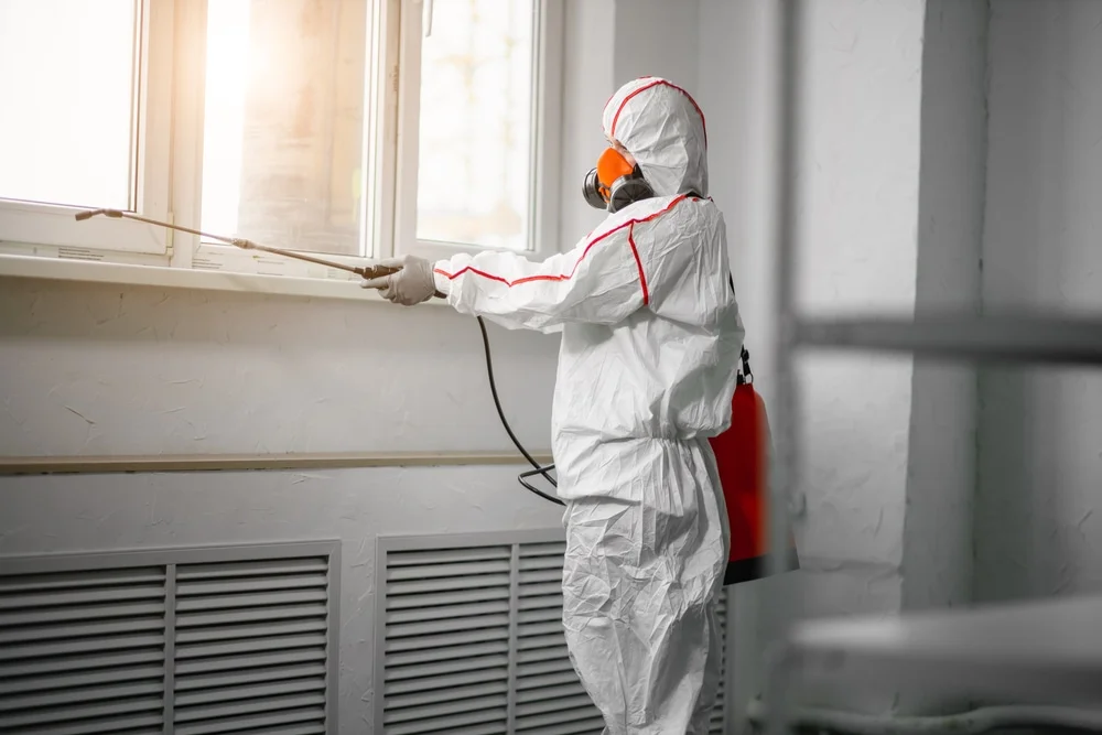 Professional mold remediation services in Wylie, TX